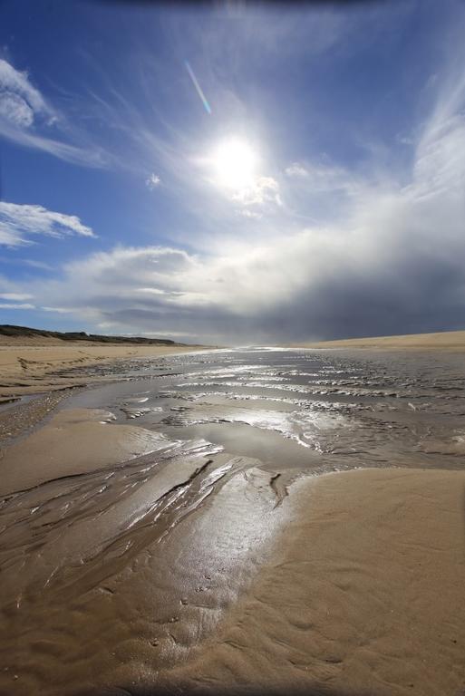 Le Lodge Du Cap Ferret Lège-Cap-Ferret Exteriér fotografie